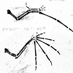 Outsiders: Promesses w/ Jess & puzzle piece @ Kiosk Radio 06.04.2021