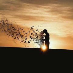 _SERENITY_