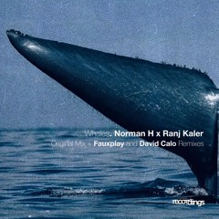 Norman H x Ranj Kaler - Whales (Fauxplay Remix) | Stripped Recordings