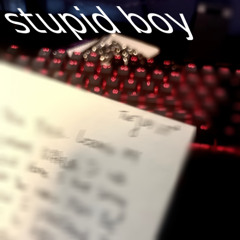 stupid boy (feat. fridvy + unpolarize) *prod dxsh*