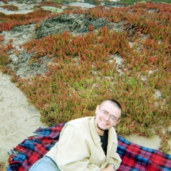 Faked a Smile (Bedroom Demo)