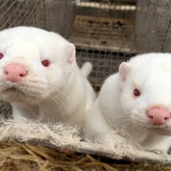 yk what you're doing