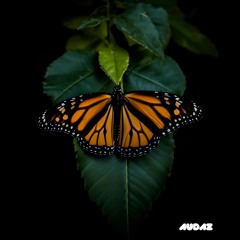E-Relevant (Audaz 231)
