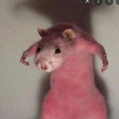 mij telefoon in de nacht