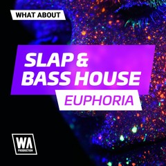Tiësto / Dynoro Style Drums & Bass Shots | Slap & Bass House Euphoria