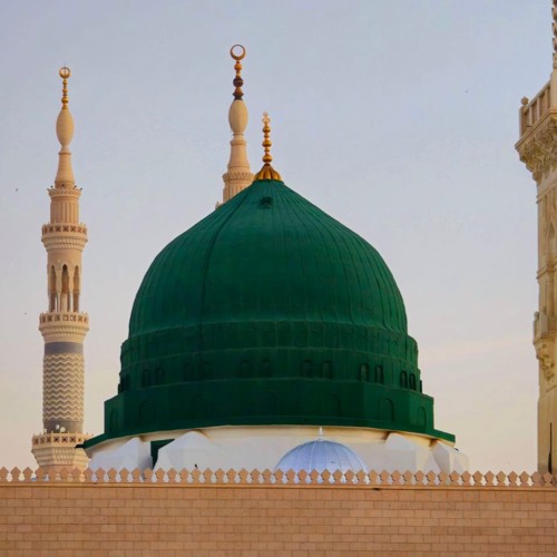 بالله يا ريح الصبا | المنشد أحمد عثمان الغريب