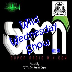 DJ To Be Named Later - Wild Wednesday Mix 28 SRM