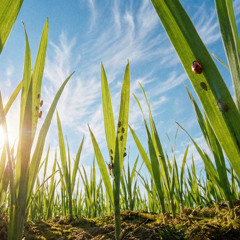 Infinite Middle - Atmo Remix