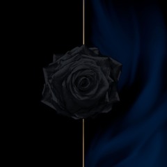 Under a Dark Star
