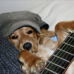 at least i can say i only got bullied once