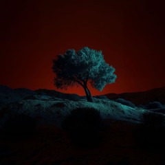 يّعني أخونك