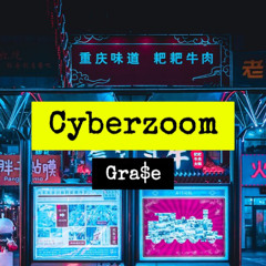 Cyberzoom - Gra$e