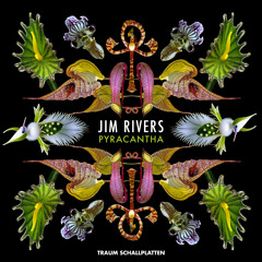 Jim Rivers - Pyracantha (Traum V288)