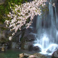 河滝