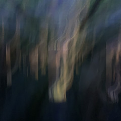 i dream of strange things