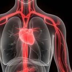 Vascular  ( Underground Melodic M Mix )