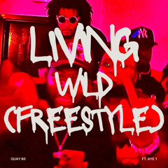 Livin Wild Freestyle FT AYE1