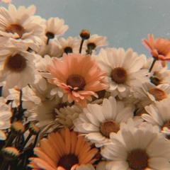 s o r r y , b u s y . . .