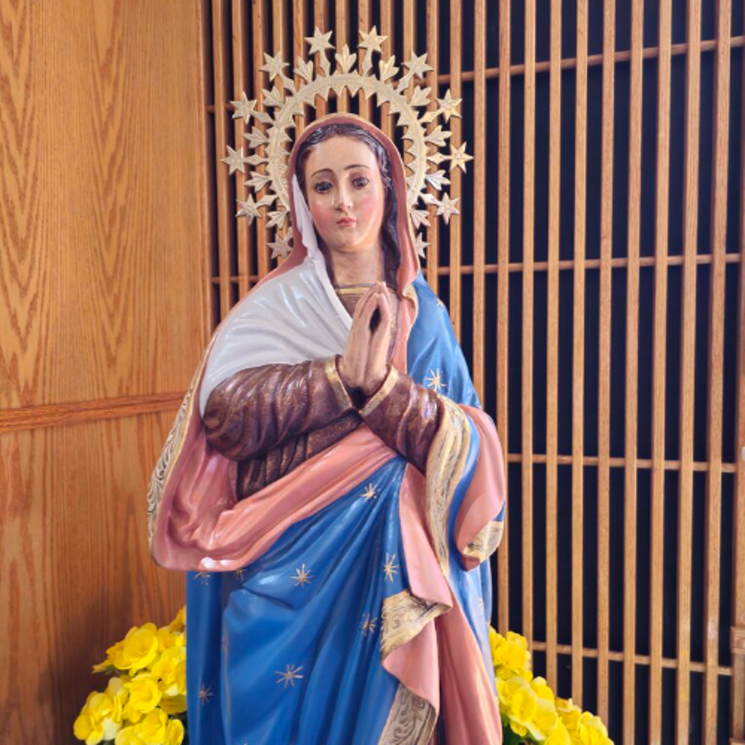 The Queenship of Mary: Mary’s Role in Our Salvation and Peace episode artwork