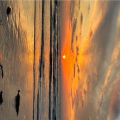 in the morning - The Young and Hopeless