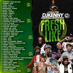 DJ KENNY FRESH LIKE DANCEHAL MIXFIX 2023