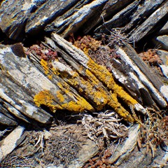 The Sea Below [was Azure Blue]