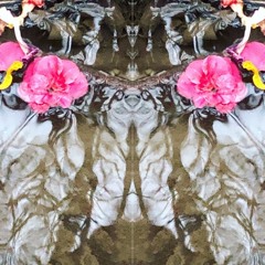 My nectar flows holy 2023