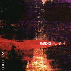 Premiere: Rødig - Punching Holes [SHO001]