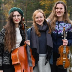 Hardanger Hardcore - Ensemble Aurōrae