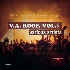 Aminohaus - Vintage Grooves (Original Mix) [Underground Roof Records}