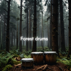 Forest drums