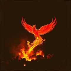 Fuel the Fire (remix)