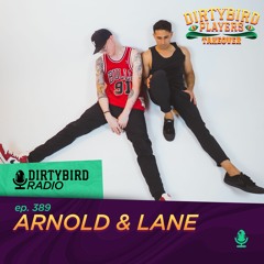 Dirtybird Radio 389 - Arnold & Lane