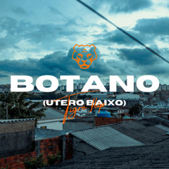 BOTANO (ÚTERO BAIXO) [Tigre flip] - DJ Caio Prince & MU540 & DJ Thiago Martins (MC Luanna)