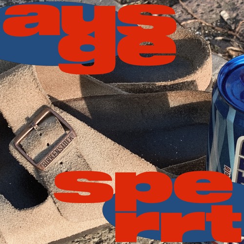 Ausgesperrt - Cyndholz x Partizan (prod. by Partizan)