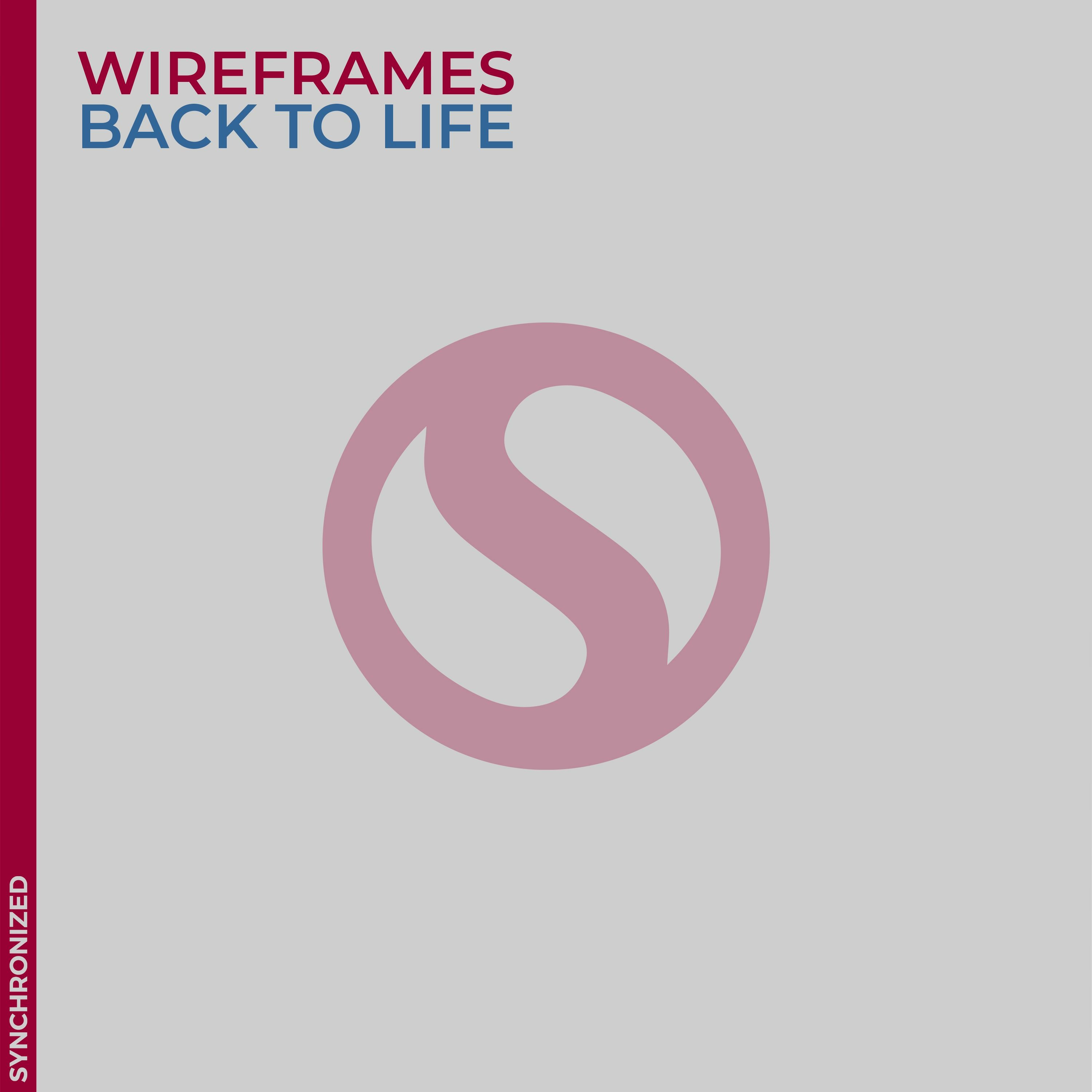 Wireframes.it - Back to Life (Original Mix) episode artwork