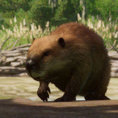 Planet Zoo North America Pack Launch Trailer