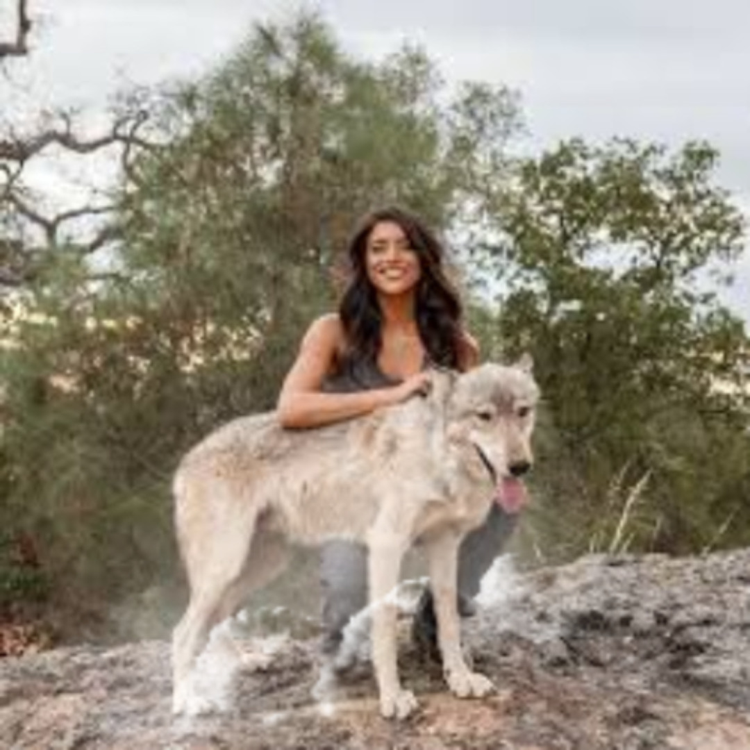 Stream Link Original one girl one wolf viral video by Henry | Listen ...