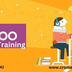 ODOO Training in Delhi