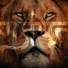 Adonai Rhymes By Cboesch Remix