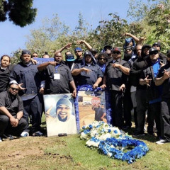 Inglewood Tongans Knocced Out