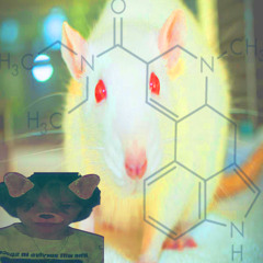 WCIOGLA mystery szczur (3AM eXclusIIIve))) + felek