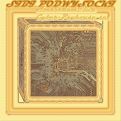 Sibi Podwysocki - Amsterdam Live@Cyber Psyhouse Set