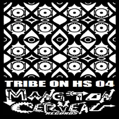 Disakortex - Explain The Tribe (Tribe On Hs 04) MTC Records
