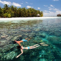 Best Snorkeling Resorts In The World Prices Reviews