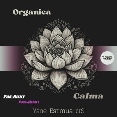 Premier // Organica - Calma (drS Remix) [Camel VIP Records]