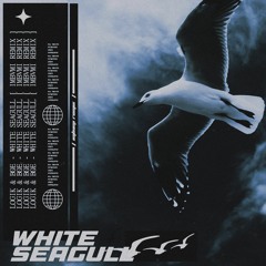 Logik & bøe  - White Seagull ( IMBVMI REMIX)