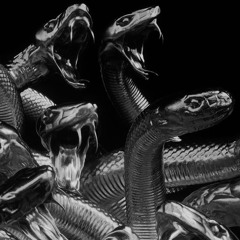 slimysnakes (BayerGartner)
