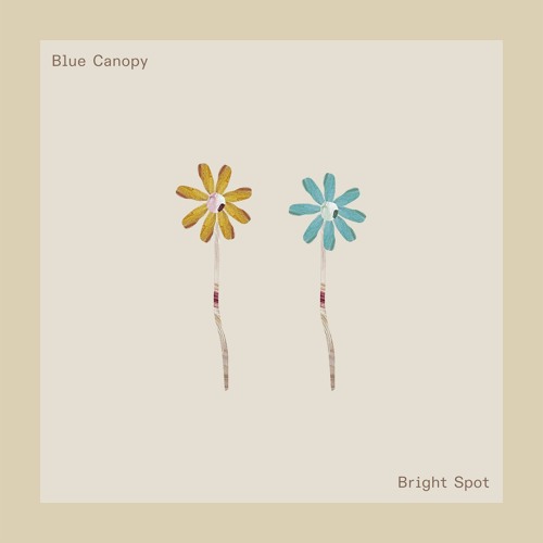 Blue Canopy - Bright Spot