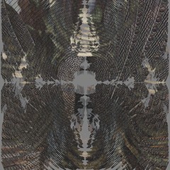 cccore @ Omen Wapta weekender / Garage Noord / 02-11-25